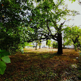 terrain à Saint-Julien-l'Ars (86)