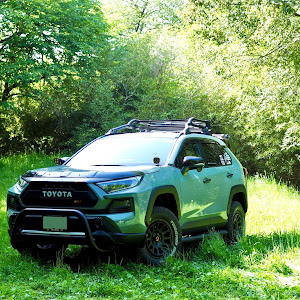 RAV4 MXAA54