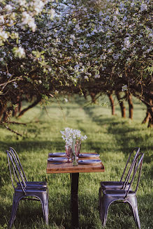 Wedding photographer Diana Cherecheș (dianachereches). Photo of 10 May