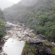 東河包子