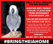 The flyer for #BringTheiaHome.
