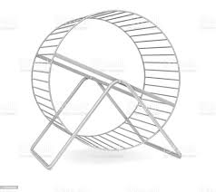 Hamster Wheel Stock Photo - Download Image Now - iStock