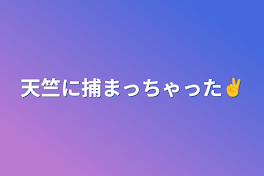 天竺に捕まっちゃった✌️