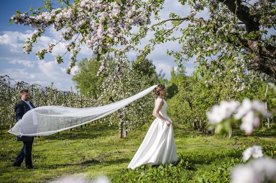 Photographe de mariage Dream Wed (werema). Photo du 15 septembre 2016