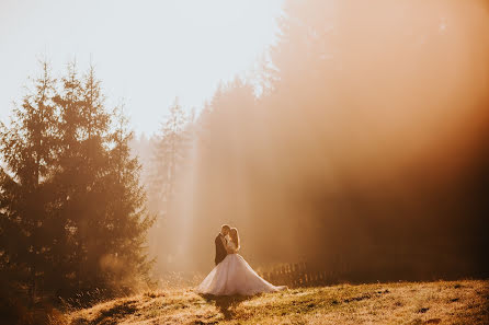 Huwelijksfotograaf Nikolay Chebotar (cebotari). Foto van 8 juli 2020