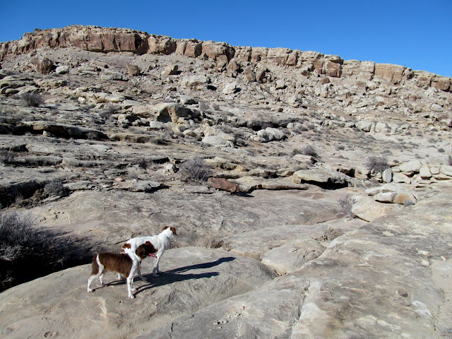 Boulder and Torrey on the hunt for some rock art