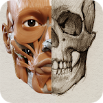 Cover Image of Baixar 3D Anatomy for the Artist 1.2.7.1 APK