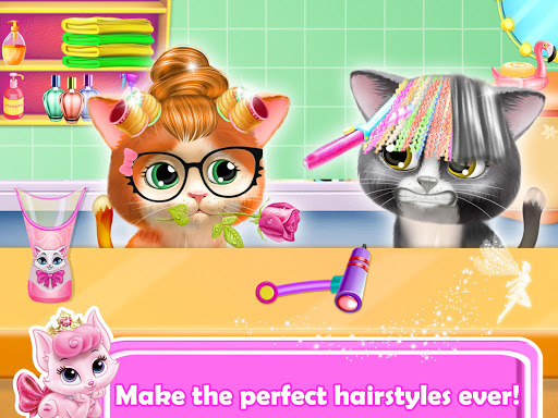 Pet Kitty Hair Salon