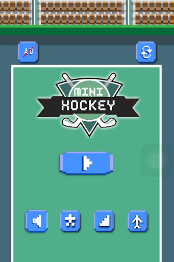 Mini Hockey