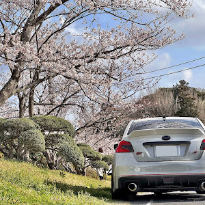 WRX S4 VAG