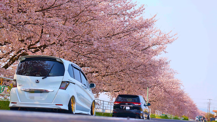 エスティマの桜とコラボに関するカスタム事例の投稿画像8枚目