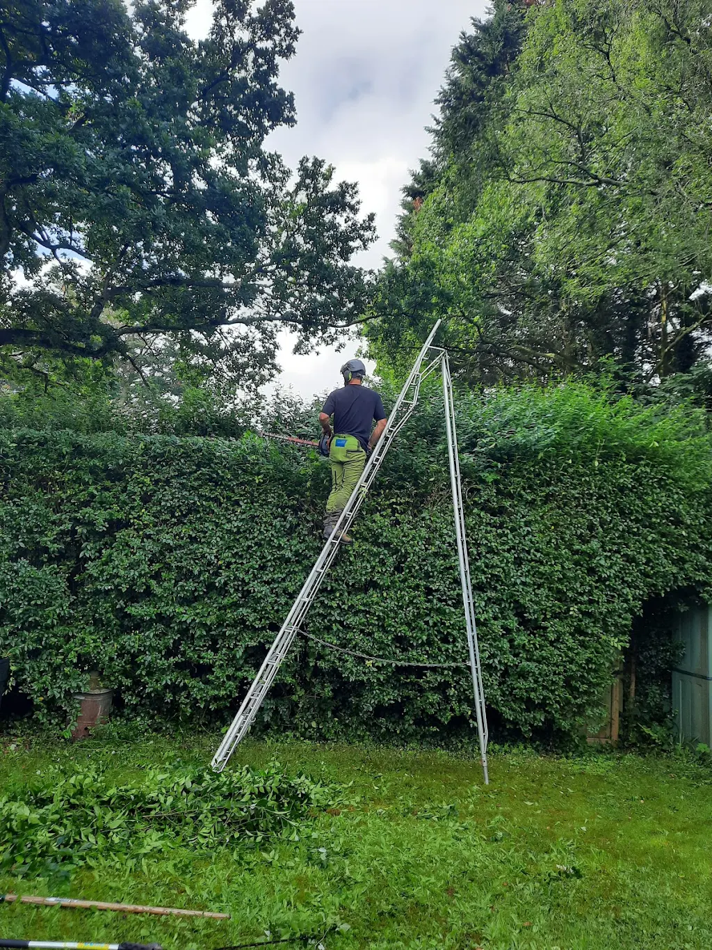 Album cover: Hedge work 