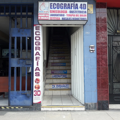 ECOGYN MEDIC LIMA NORTE