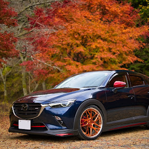 CX-3 DKEFW