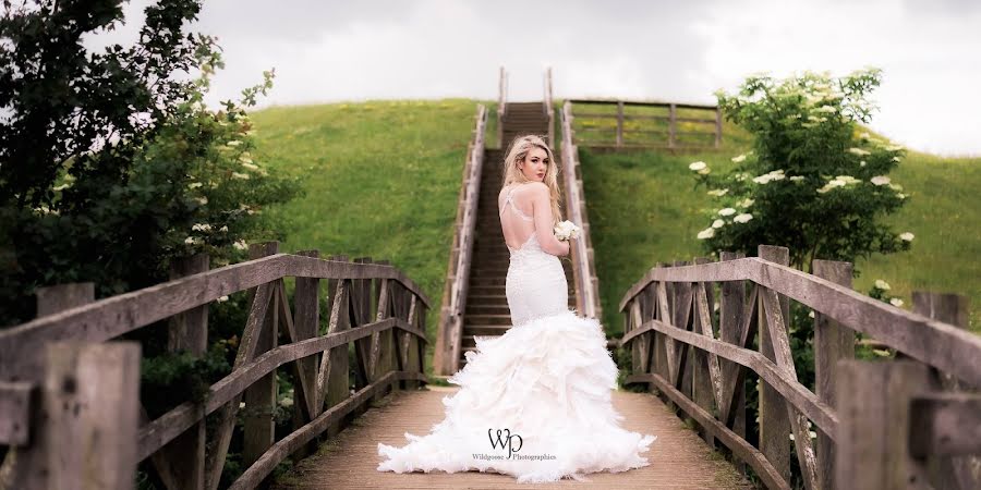 Wedding photographer Lisa (wildgoosewedding). Photo of 2 July 2019