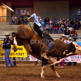 by Stephen Schutt - Novices Only Sports