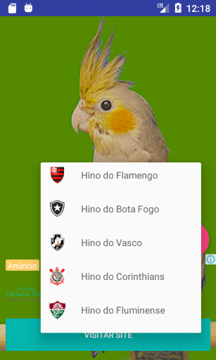 Calopsita Cantando Hino Do Flamengo Mp3 Baixar Calopsita Assobios Para Treino Para Android No Baixe Facil