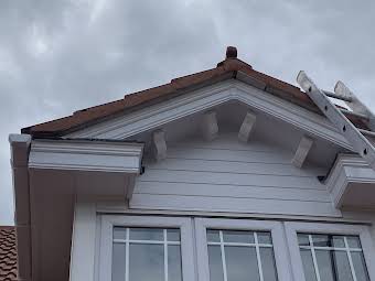 Fascia and soffits album cover