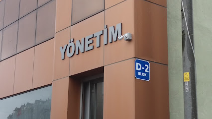 Yönetim