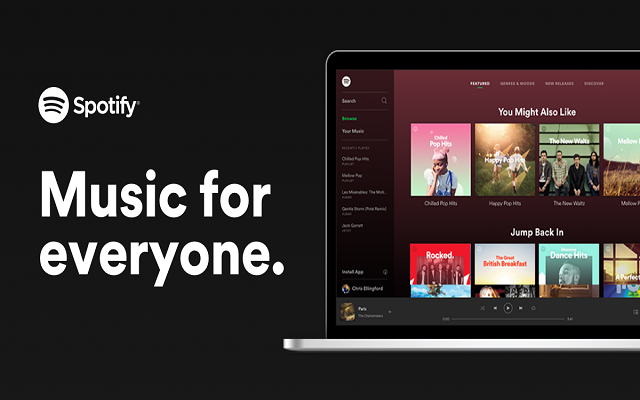 Spotify Web Player Preview image 1