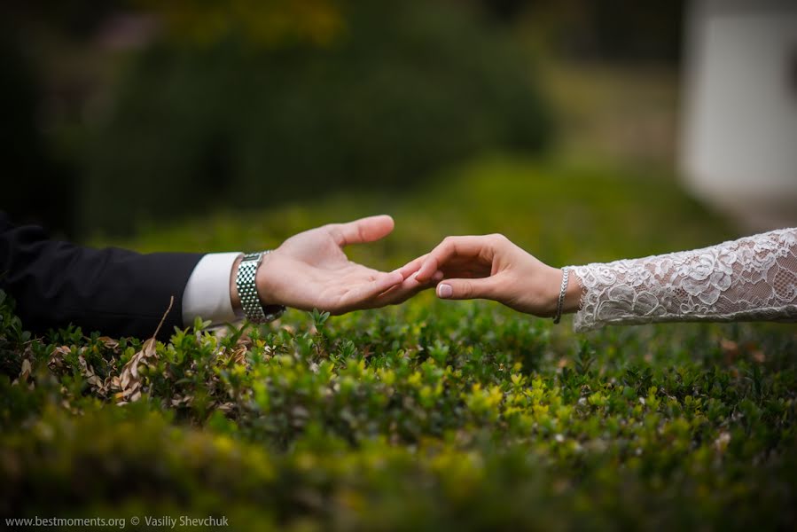 結婚式の写真家Vasiliy Shevchuk (shevchuk)。2016 10月13日の写真