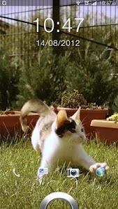 Super Cute Jumping Cat LWP screenshot 2