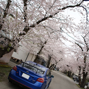 WRX STI