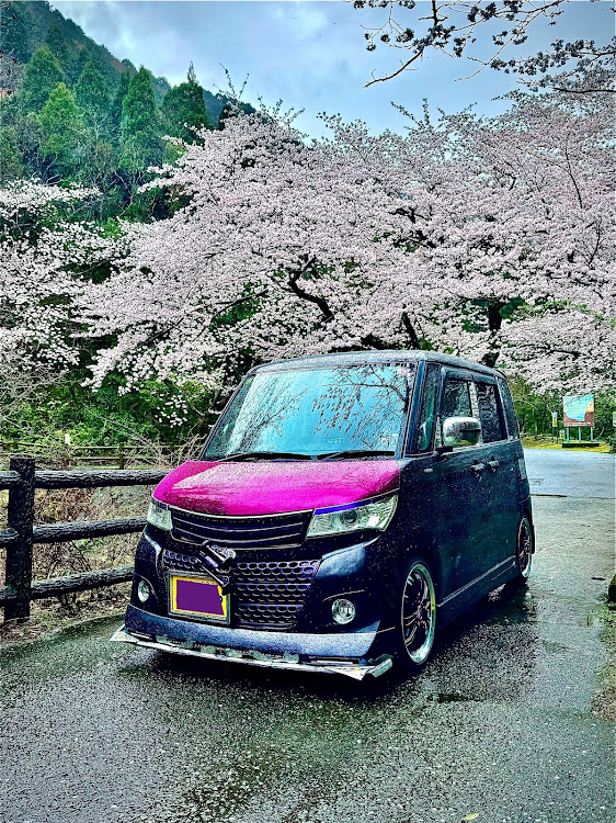 パレットSWのいつもいいね&コメントありがとうございます🎵・フォロワーの皆様に感謝します🙇‍♂️・🌸の撮影🌸雨天決行☔️😎・今日は花散らしの雨🌪️💨☔️😱・444回目の投稿は悪天候🫣🤭(笑)に関するカスタム事例の投稿画像2枚目