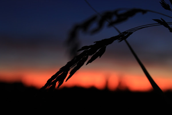 Tramonto con ombre  di aurora_zamoni