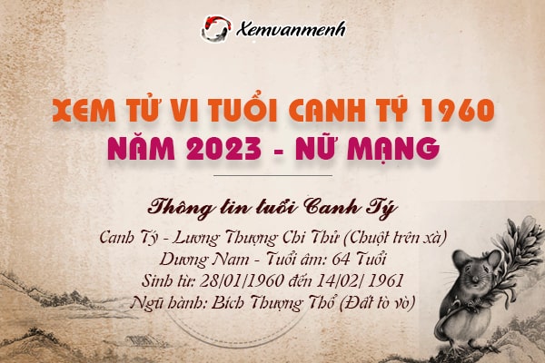 Xem tử vi tuổi Canh Tý nữ mạng năm 2023 