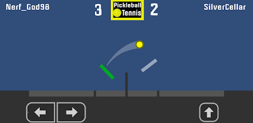 Pickleball Tennis