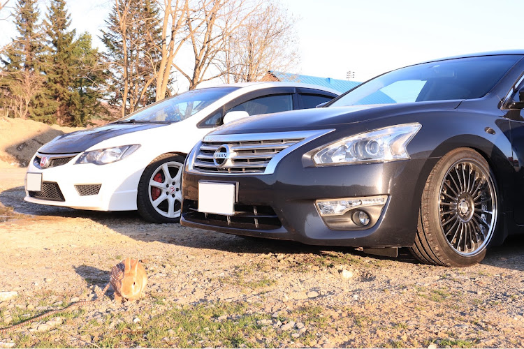 モコの低そうで低くない少し低い車・モコ女子・加麻呂商会・📸活・旭川に関するカスタム事例の投稿画像8枚目