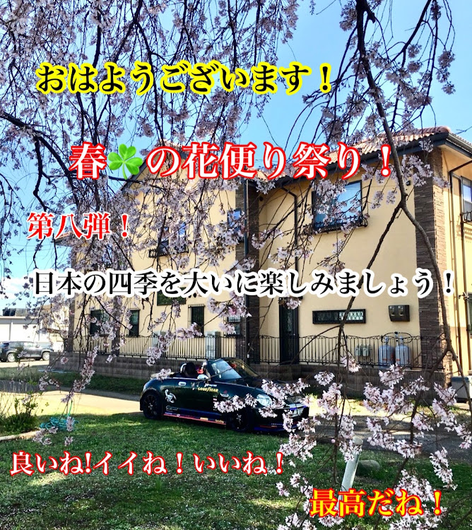 コペンの春☘️の花便り祭り!大八弾!良いね!イイね！いいね！最高だね！・幸せは自分自身で見出す物で他人から与えられる物では有りません！最高だね！・貧乏しても心❤️の貧乏人には成りたく無いですね！最高だね！・妬み!僻み!は持たず!心❤️豊かに過ごしましょう!最高だね！・人は人です!自分の納得出来る生き方をしましょう!最高だね！に関するカスタム事例の投稿画像5枚目