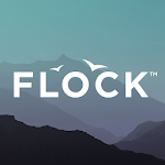 Flock Global Apk