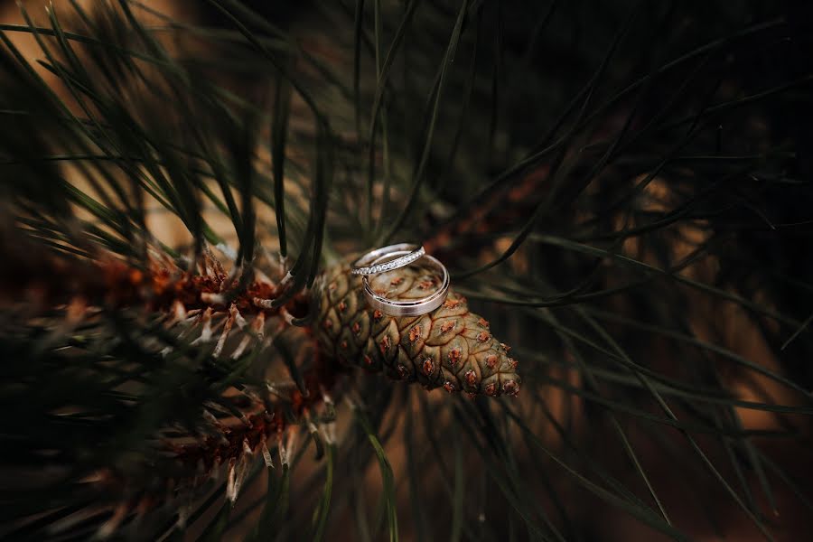 Fotógrafo de casamento Tibor Simon (tiborsimon). Foto de 10 de agosto 2022