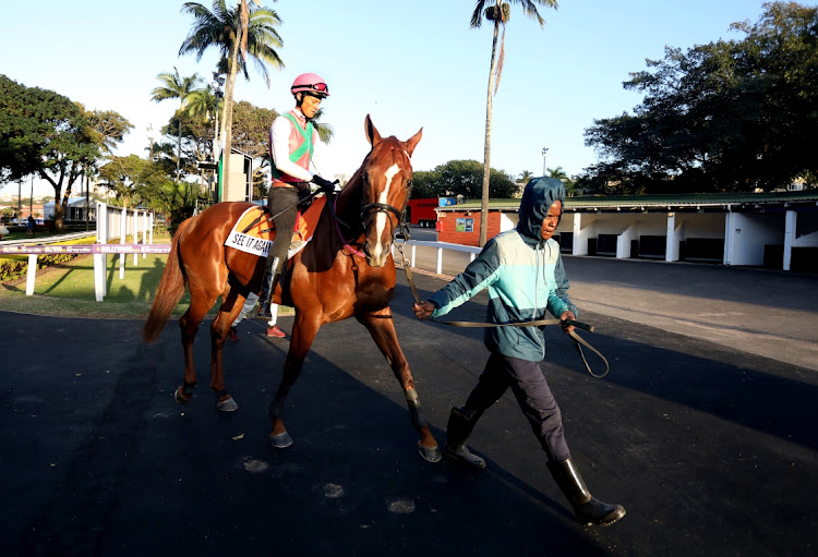 Rachel Venniker ride See It Again who is the favourite horse for this year's Hollywoodbets Durban July.