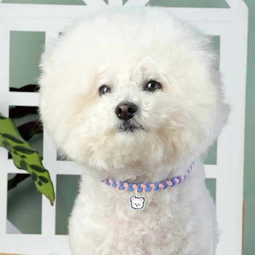 MADDEN Cute Pet Cat Collars with Little Bear Pendant Adjustable Puppy Kitten Necklace Cats Rabbit Collars Dog Accessorie