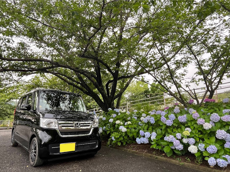 Nボックスのいつもいいね＆コメントありがとうございます🥰・紫陽花と愛車・スィーツ・お散歩に関するカスタム事例の投稿画像14枚目