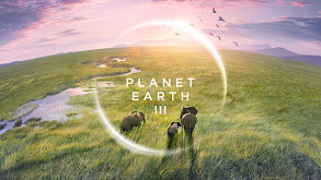 Planet Earth III thumbnail