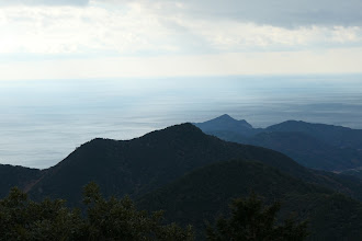 下に高山