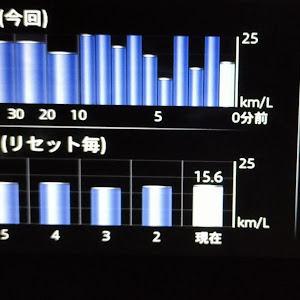 アクセラスポーツ BMEFS