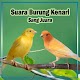 Download Suara Burung Kenari Sang Juara dan Masteran For PC Windows and Mac