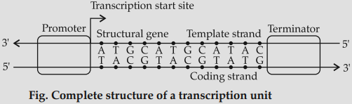 Solution Image