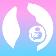 Baby Gender: Boy or Girl 5 Icon