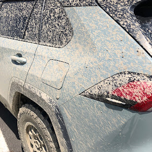 RAV4 MXAA54