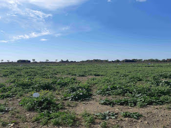 terrain à Surgères (17)