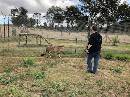 New & Improved Lions Park South Africa 2018