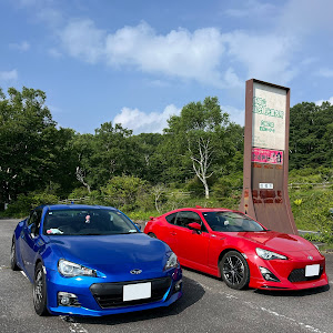 86 ZN6