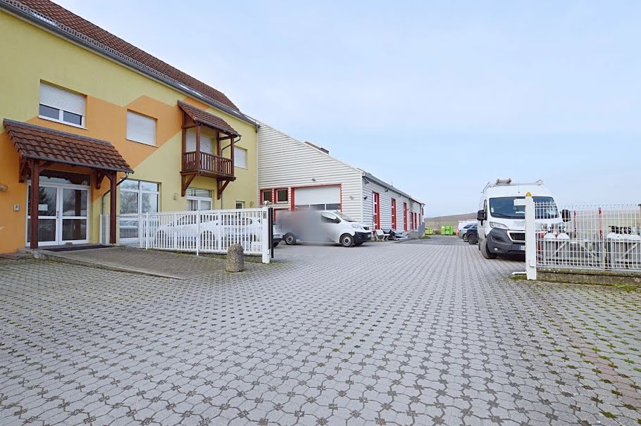 Vente locaux professionnels  781.61 m² à Betschdorf (67660), 457 000 €