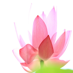 Listen to the Buddha's words Apk